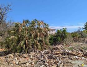 land sale denia el montgó by 235,000 eur