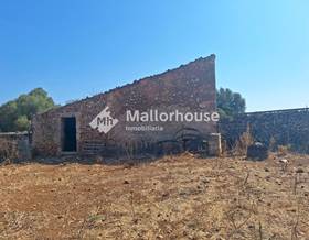 lands for sale in santa margalida