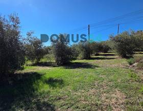 land sale islas baleares campanet by 40,000 eur
