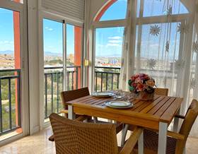 houses for rent in torrevieja