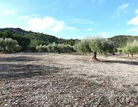 land sale tarragona amposta by 50,000 eur