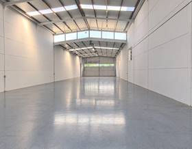 industrial warehouses for rent in sallent