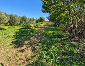 single family house sale sant marti sarroca by 439,000 eur