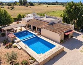 lands for sale in sant joan