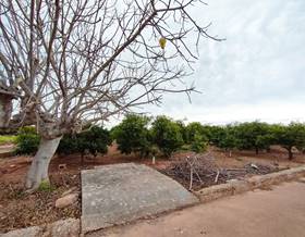land sale villarreal vila real by 6,600 eur